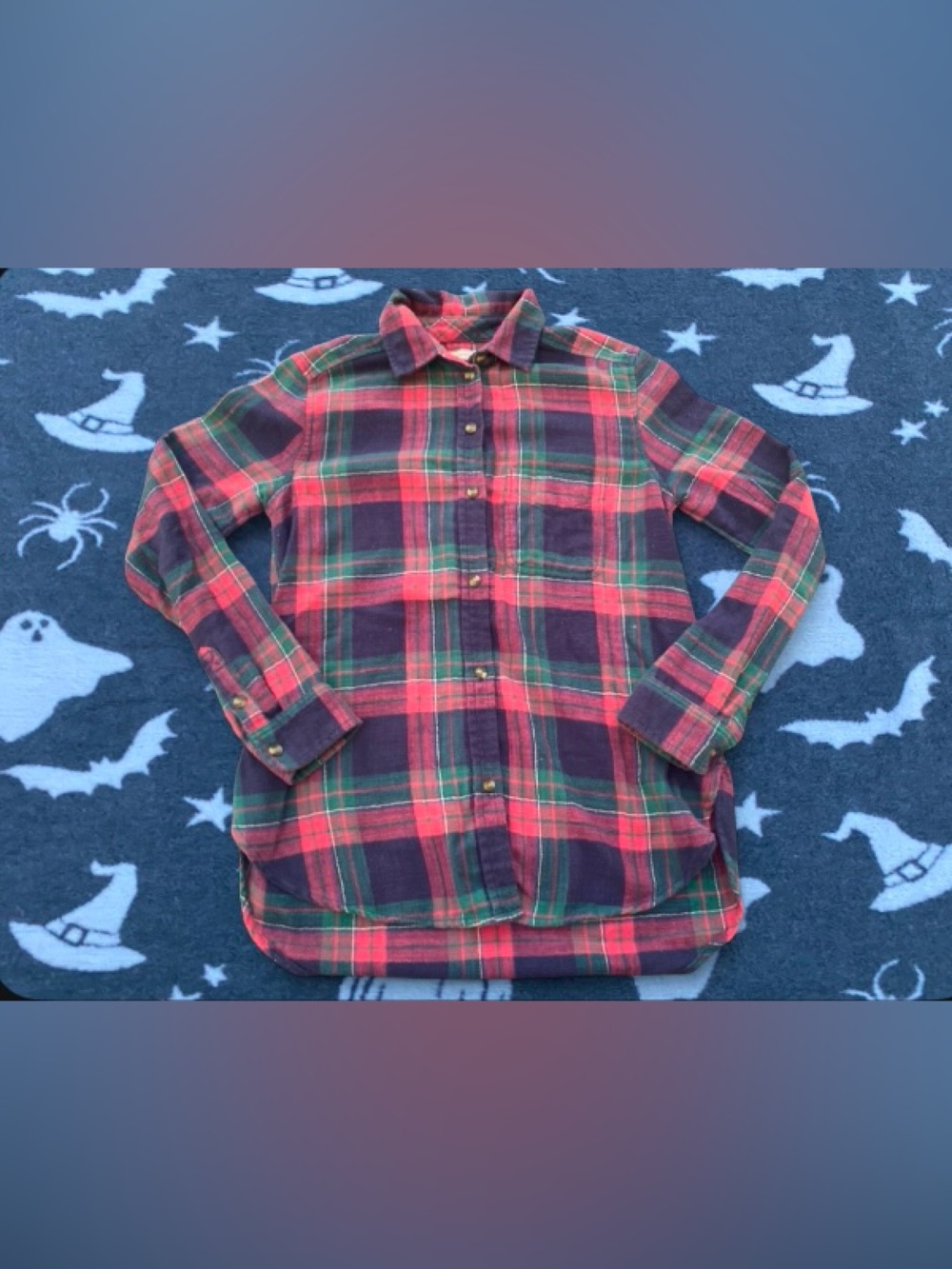 American Eagle Outfitters Flannel